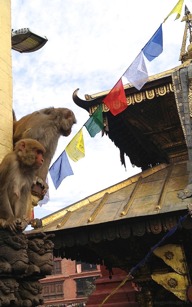 Monkey Temple, Katmandu